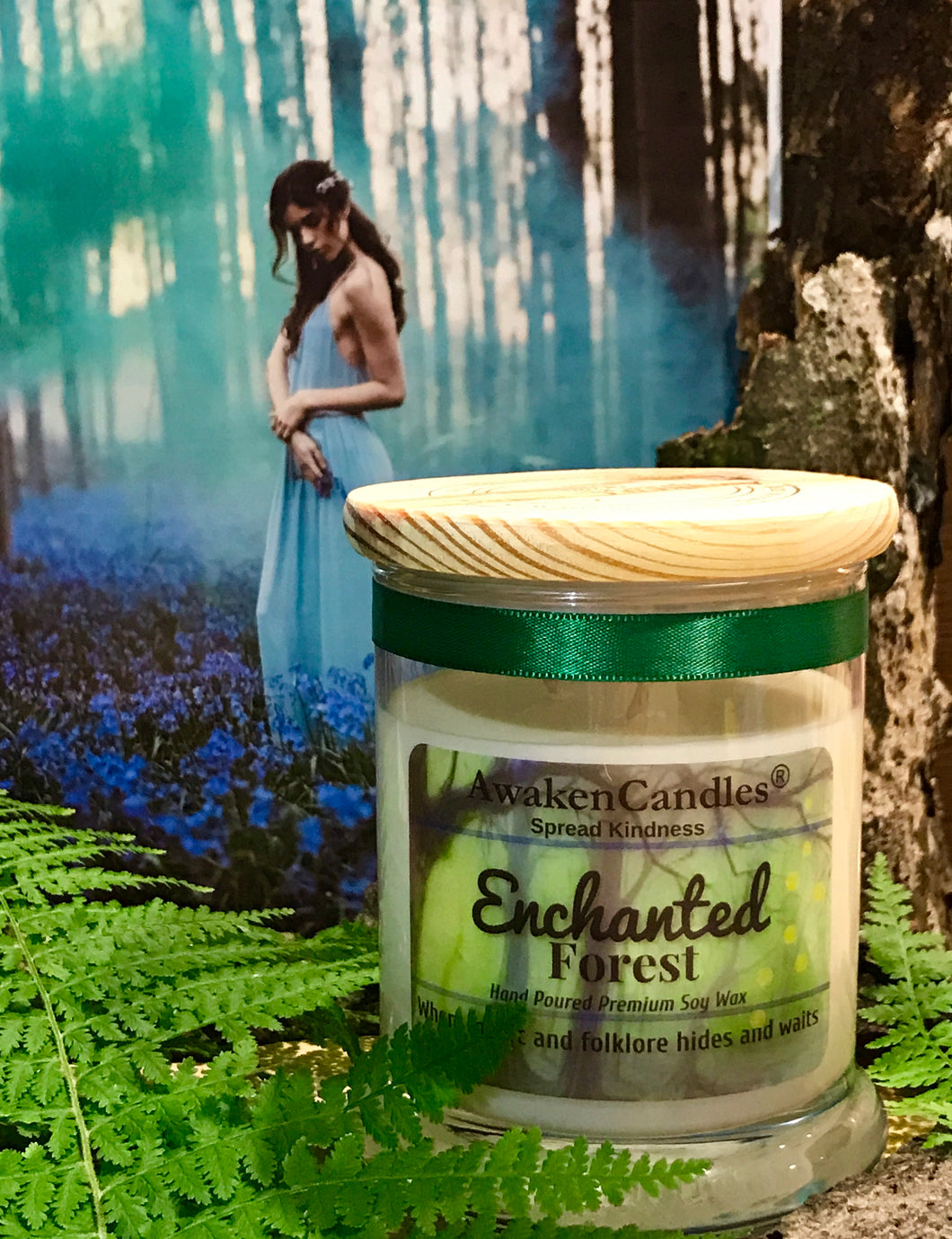 Enchanted Forest
