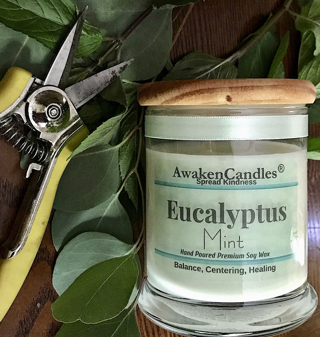 Eucalyptus Mint Wax Melts